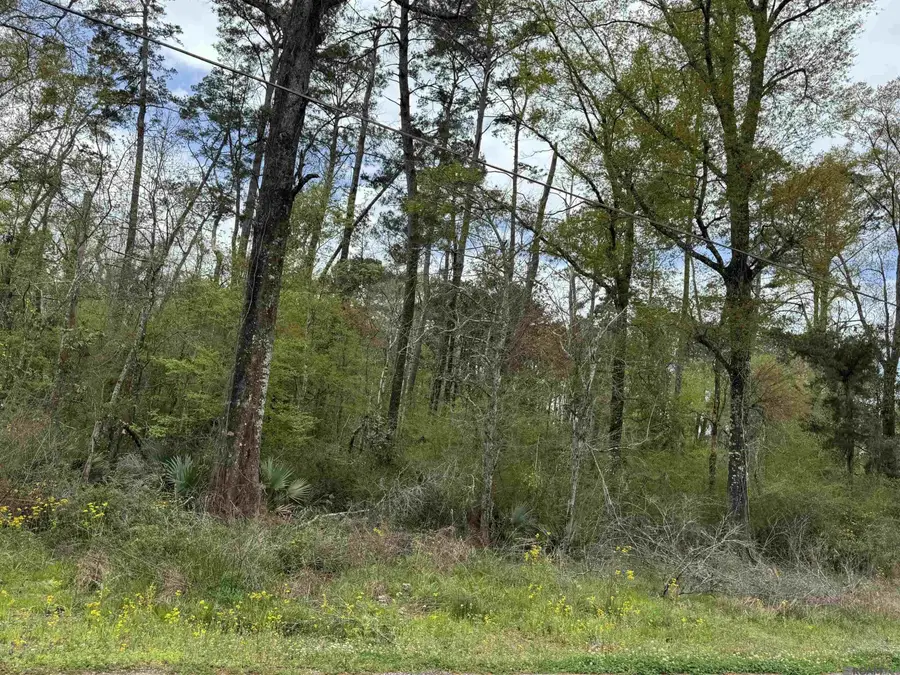 TBD Vincent Place Ave, Denham Springs, LA 70726 - #3