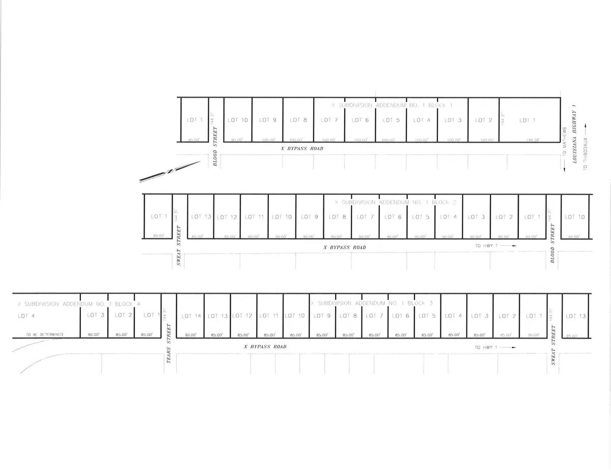 106 X Bypass Road, Raceland, LA 70394 - #1