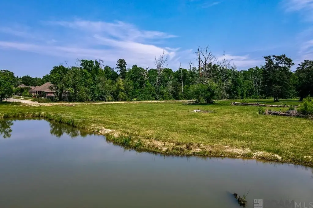 Spring House Dr, Greenwell Springs, LA 70739 - #1