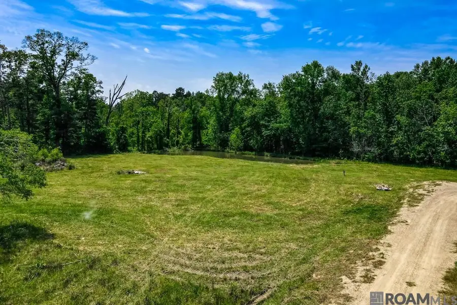 Spring House Dr, Greenwell Springs, LA 70739 - #2