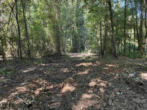 7889 Solitude Rd, St. Francisville, LA 70775