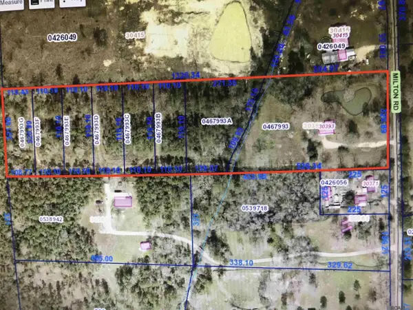 30393 Milton Rd, Walker, LA 70785