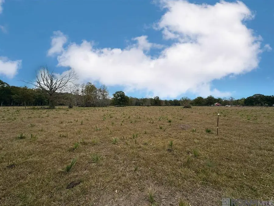 45538 Doc Ln, Saint Amant, LA 70774 - #3