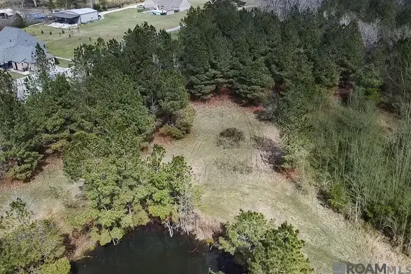 TBD Washington Ln, Central, LA 70739