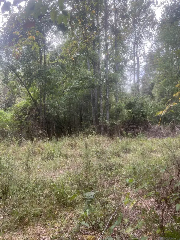 tract 1 Battle Rd, Ethel, LA 70730