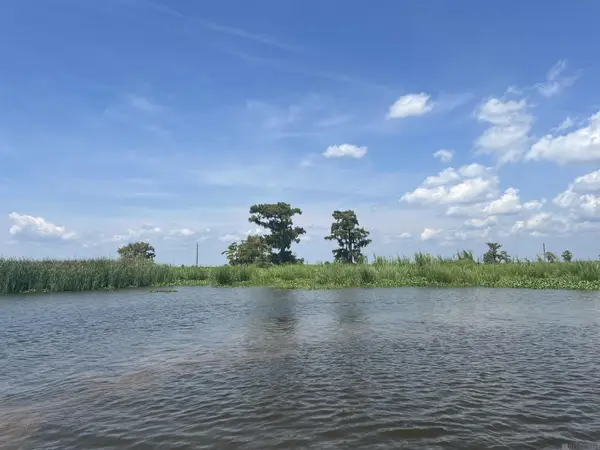 Lot 91 Jones Island, Akers, LA 70421