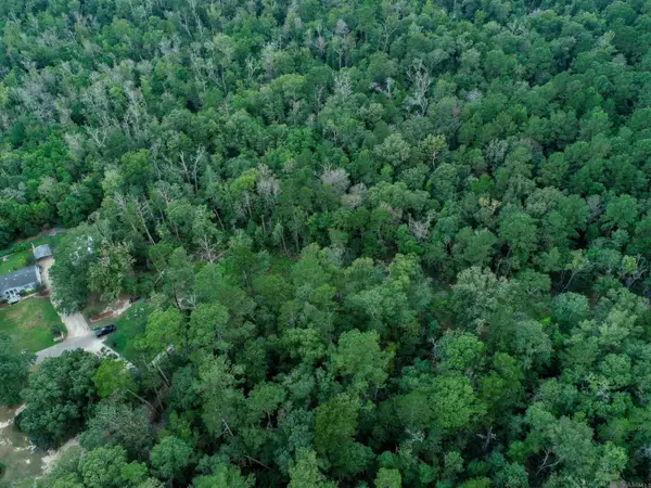 tbd Pinkney Ln, Walker, LA 70785