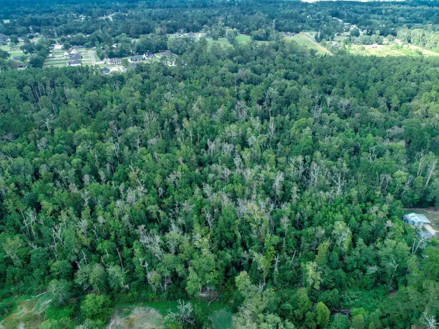 tbd Pinkney Ln, Walker, LA 70785 - #3