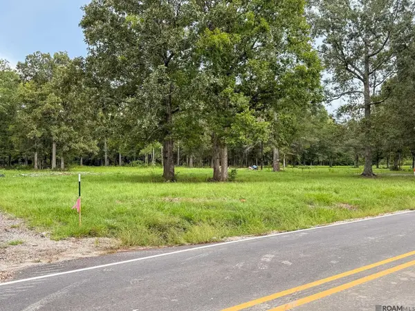 20211 Perrilloux Rd, Livingston, LA 70754