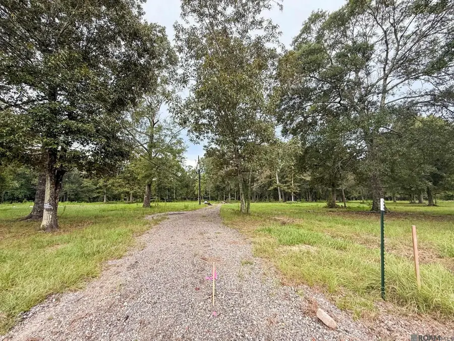 20211 Perrilloux Rd, Livingston, LA 70754 - #2