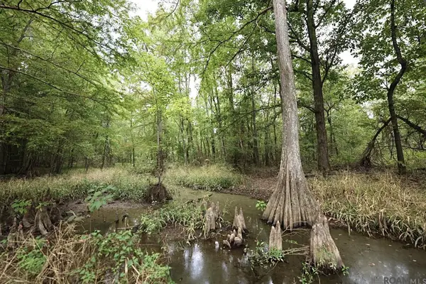 211 Fred Rogers Road, Montgomery, LA 70394