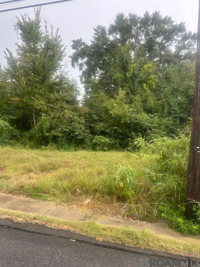 624 Lorri Burgess Ave, Baton Rouge, LA 70802 - #2