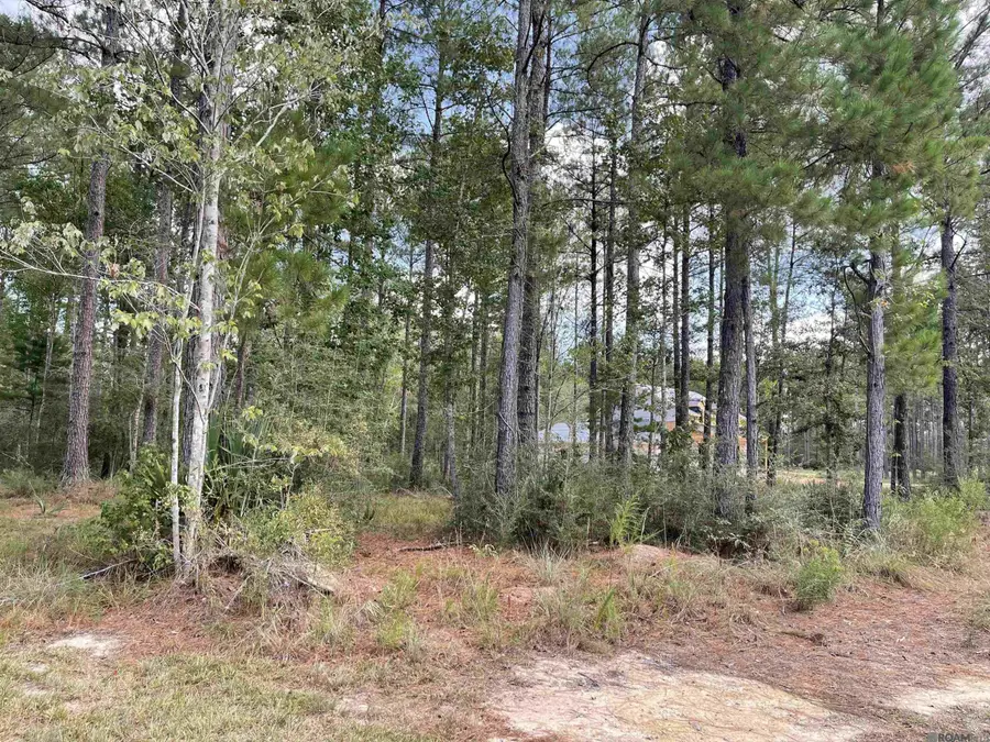 28370 Frost Rd, Livingston, LA 70754 - #3