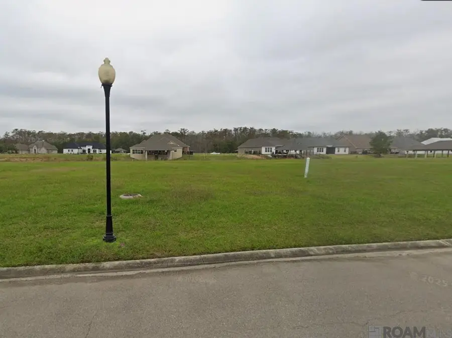 21441 Bluefin Dr, Springfield, LA 70462 - #2