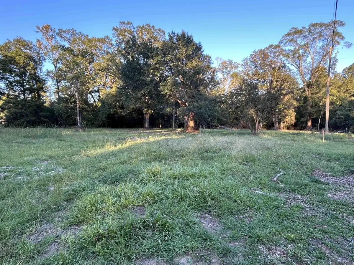 B-7 Eathern Martin Rd, Livingston, LA 70754 - #1