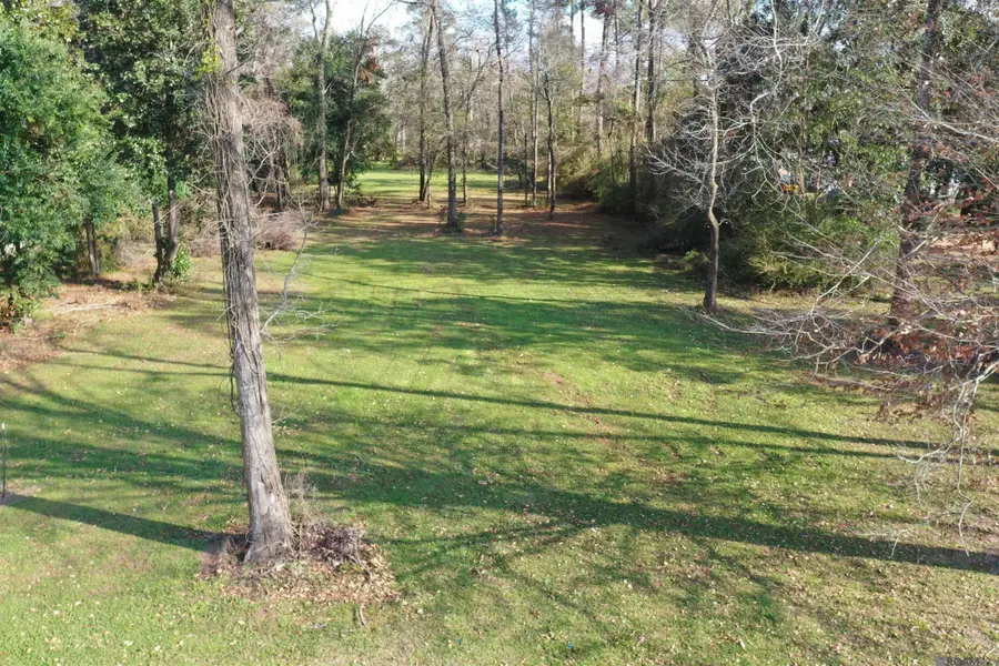 1.95 acres 4-h Club Rd, Denham Springs, LA 70726 - #2