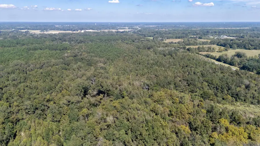 Lot B-1-B Old Scenic Hwy, Zachary, LA 70791 - #2
