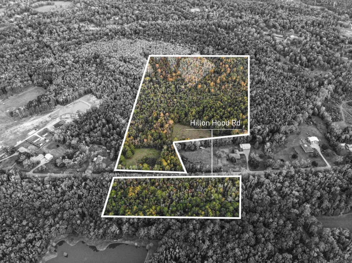 27+- Acres Hillon Hood Rd, Denham Springs, LA 70726 - #1