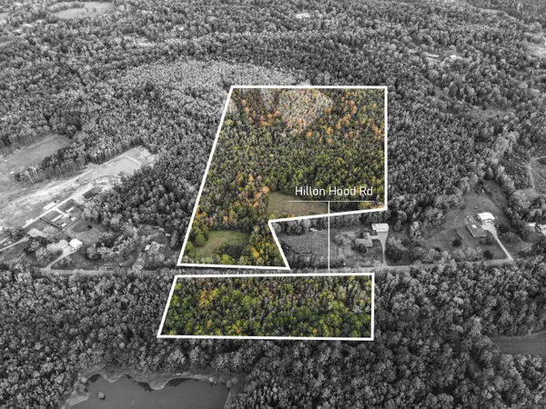 27+- Acres Hillon Hood Rd, Denham Springs, LA 70726