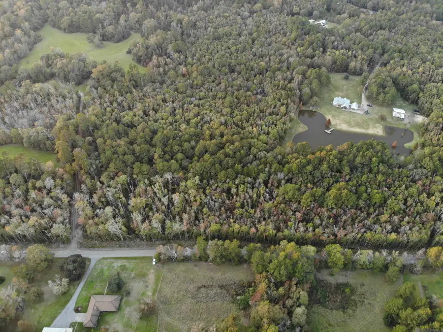 27+- Acres Hillon Hood Rd, Denham Springs, LA 70726 - #3