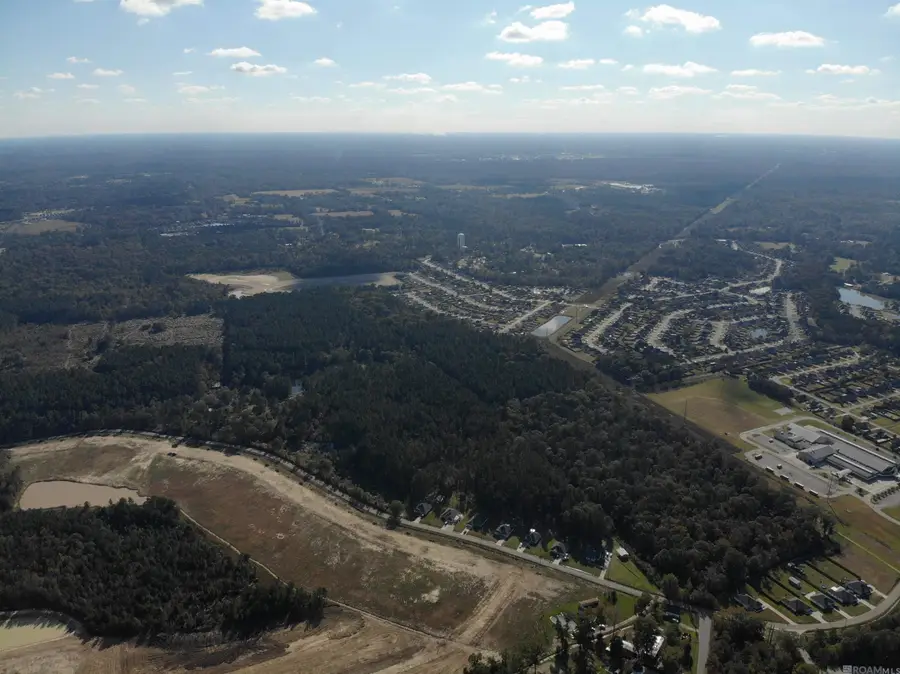 12850 Brown Rd, Denham Springs, LA 70726 - #2