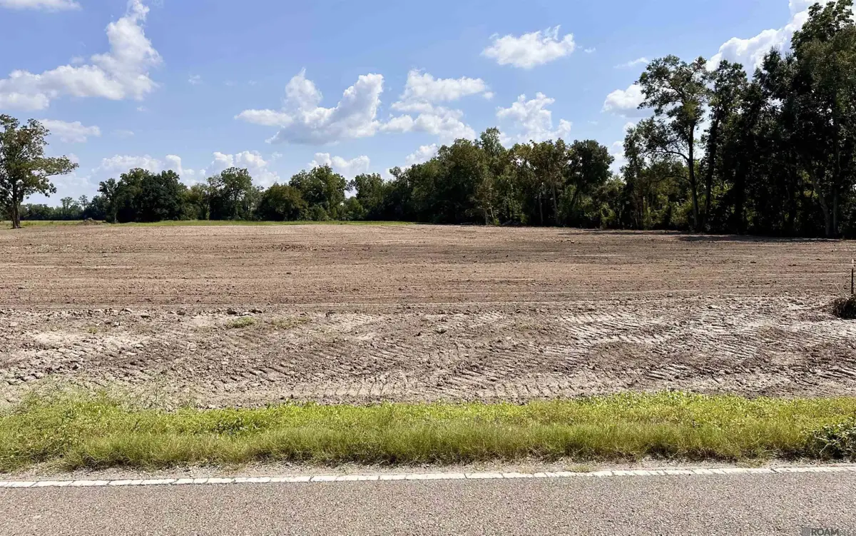 Lot #1-A La Hwy 22, Darrow, LA 70725 - #1