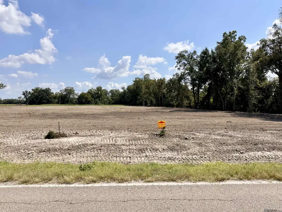 Lot #1-A La Hwy 22, Darrow, LA 70725 - #2