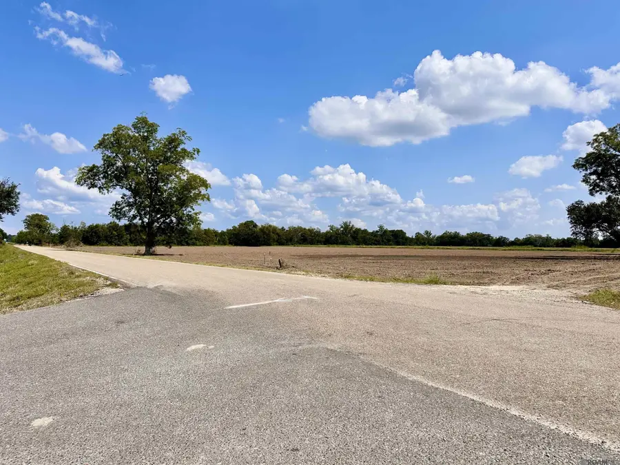 Lot #7-A La Hwy 22, Darrow, LA 70725 - #2