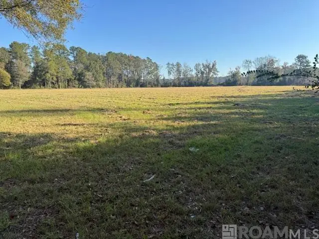 TBD Buck Carroll Rd, Walker, LA 70785 - #1