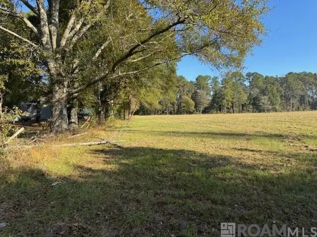 TBD Buck Carroll Rd, Walker, LA 70785 - #2