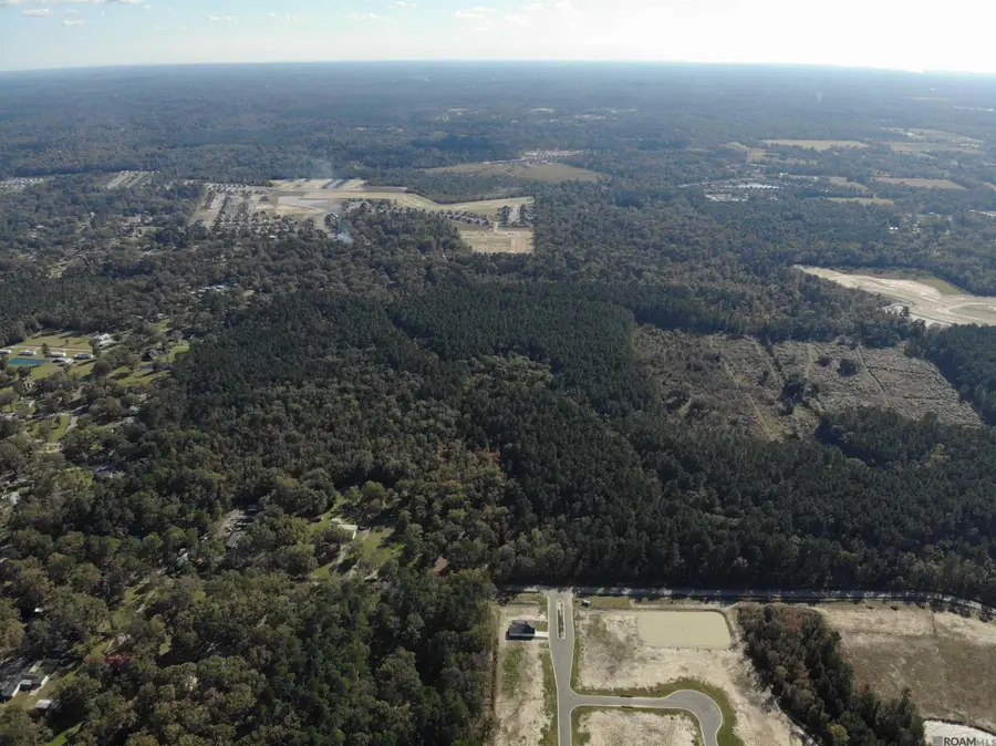 141.35 acres Brown Rd, Denham Springs, LA 70726 - #2