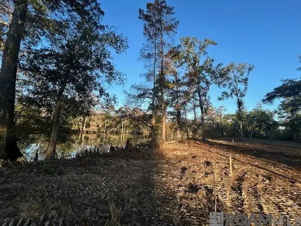 14275 Old River Rd, Maurepas, LA 70449