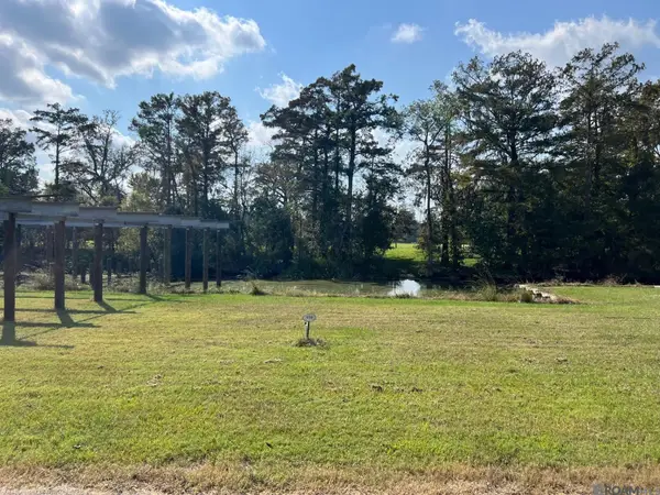 23101 Carter Plantation Dr, Springfield, LA 70462