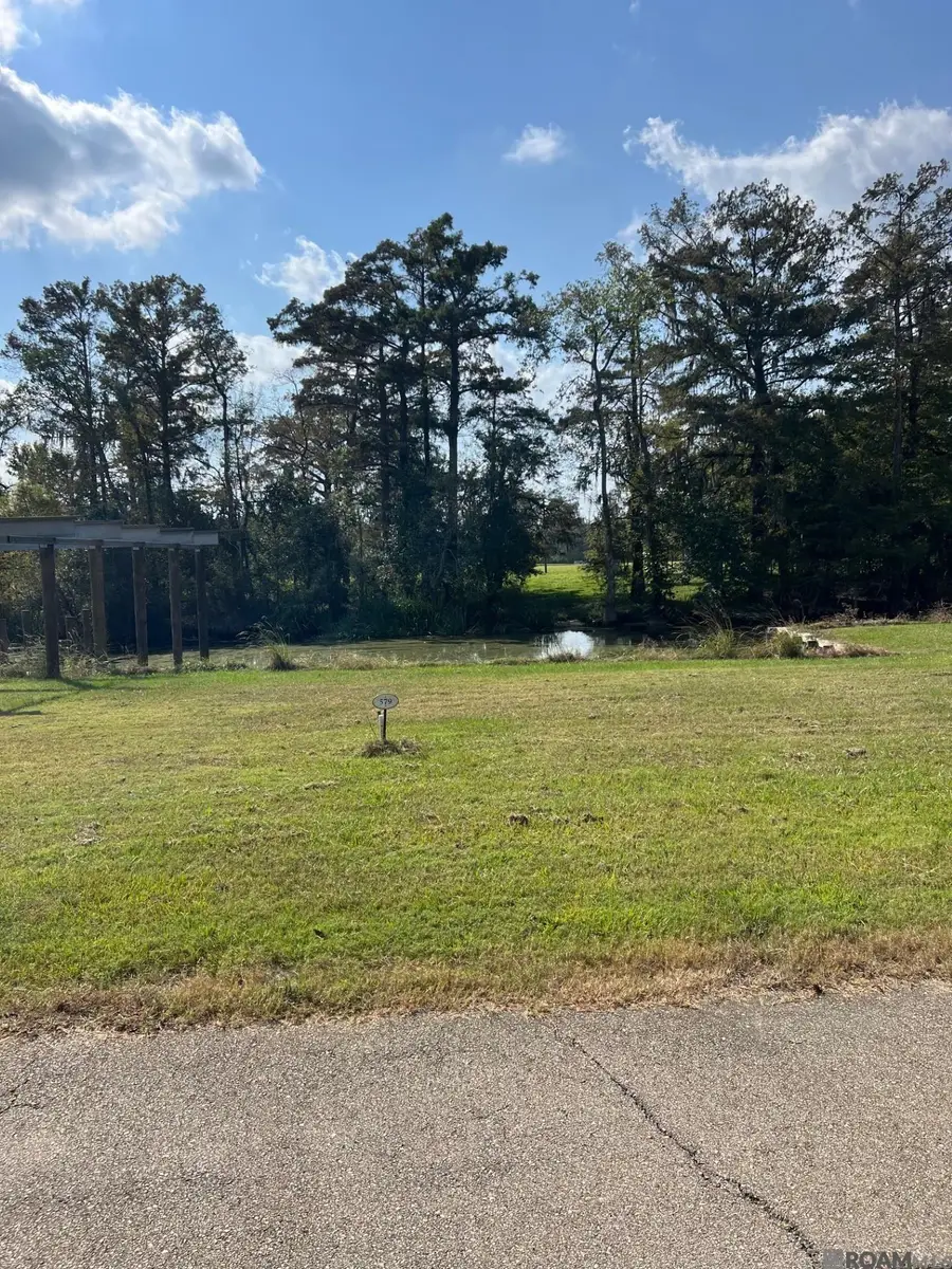 23101 Carter Plantation Dr, Springfield, LA 70462 - #3