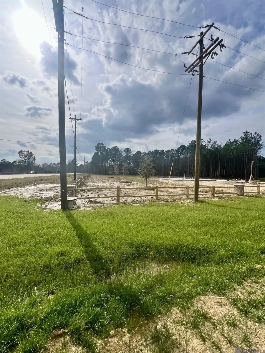 Lot 36 Copper Pass, Livingston, LA 70754 - #3