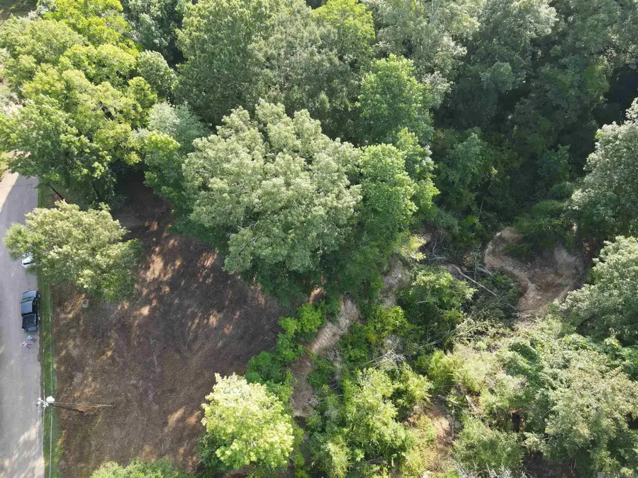 Lot 47 Treakle Dr, Zachary, LA 70791 - #3