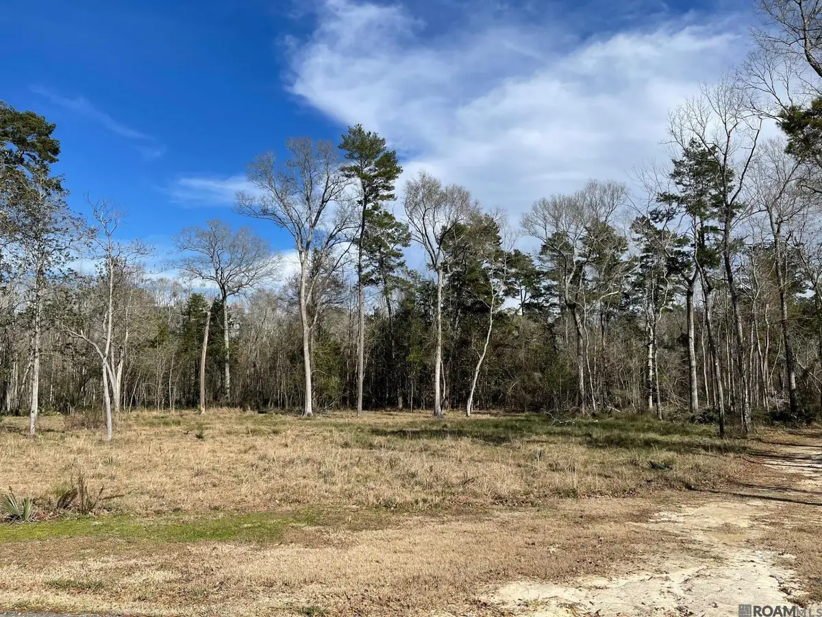 Lot 9 Ridgeway Ave, Denham Springs, LA 70726 - #1