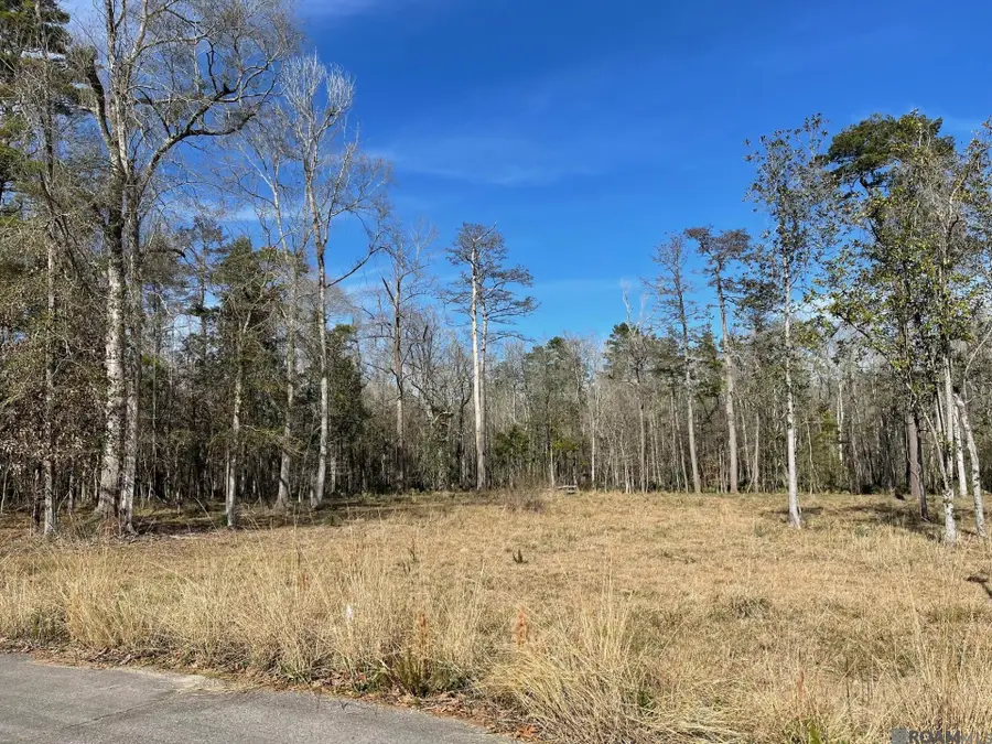 Lot 9 Ridgeway Ave, Denham Springs, LA 70726 - #2