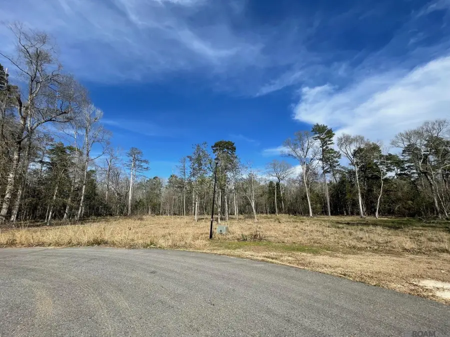 Lot 9 Ridgeway Ave, Denham Springs, LA 70726 - #3