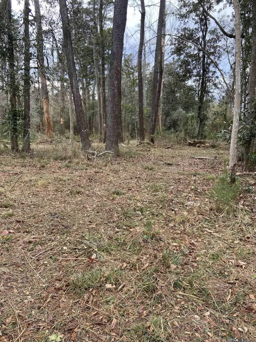 11123 Comeaux Ln, Denham Springs, LA 70726 - #2