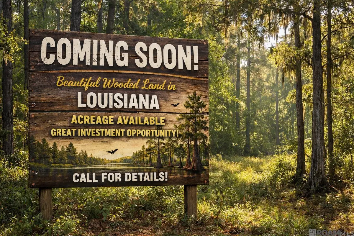 4-A-5 La Hwy 1032, Denham Springs, LA 70726 - #1