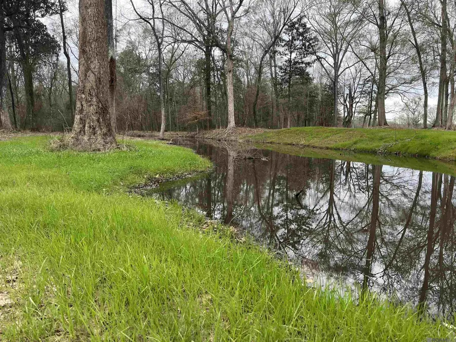 A-1-C Lemon Rd, Slaughter, LA 70777 - #2