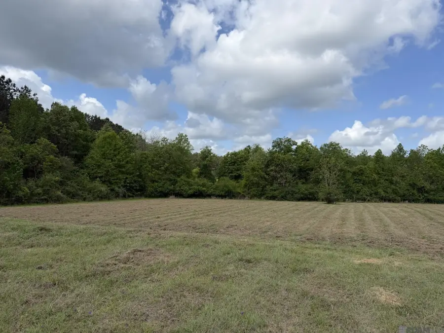 9674 La Hwy 955, Ethel, LA 70730 - #2