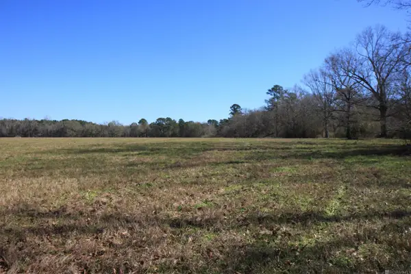 TBD Lot 8 Cook Rd, Slaughter, LA 70777