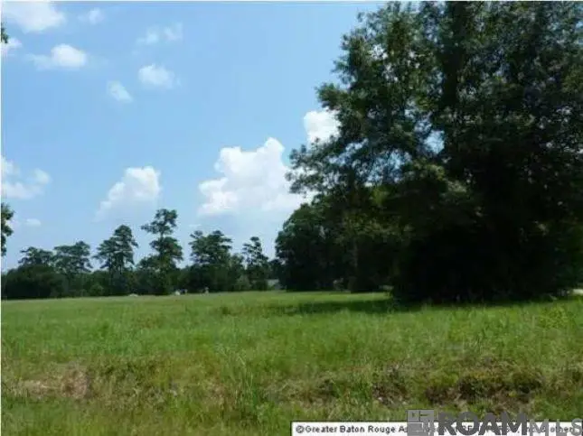 Lot 8 Lynda, Killian, LA 70462 - #1