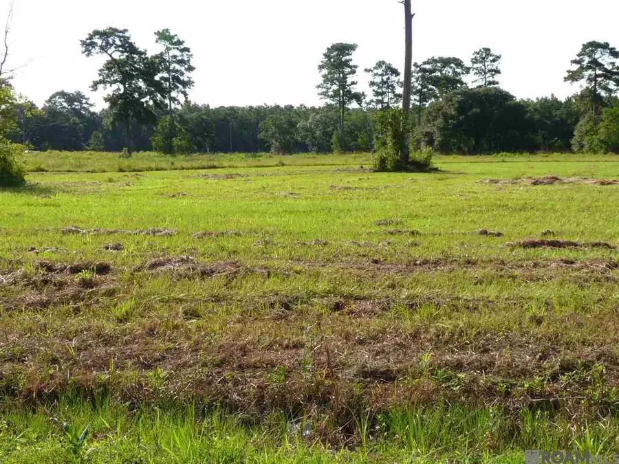 Lot 8 Lynda, Killian, LA 70462 - #3