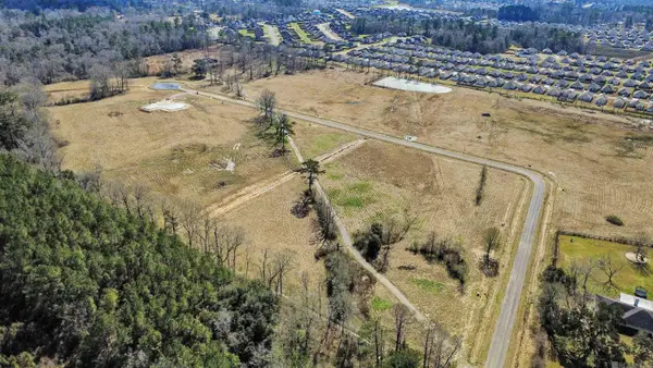 Lot 10 Grandview Drive, Denham Springs, LA 70726
