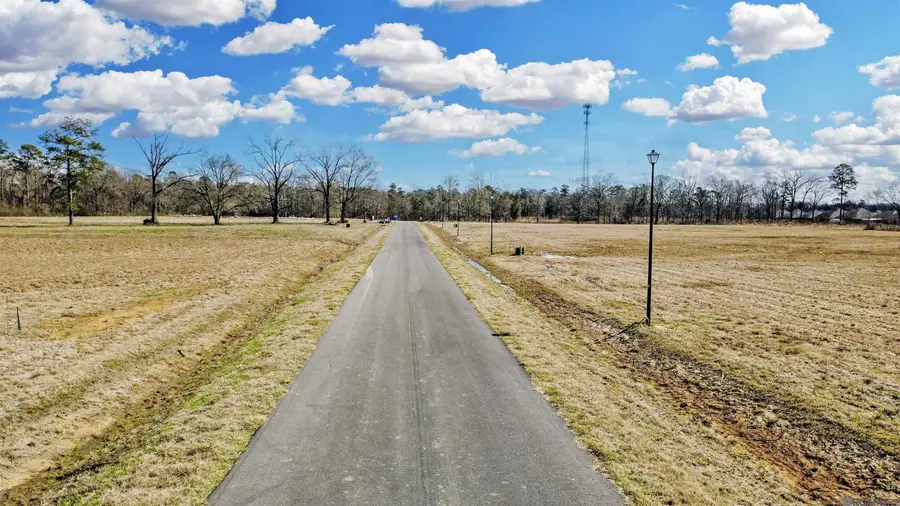 Lot 11 Grandview Drive, Denham Springs, LA 70726 - #3