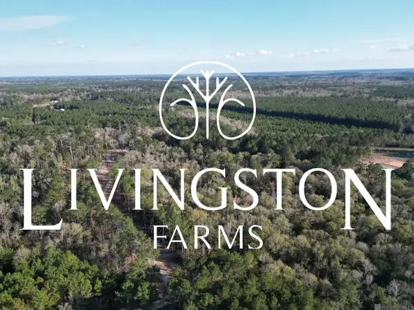 Lot 3 Livingston Farms Lane, Livingston, LA 70754