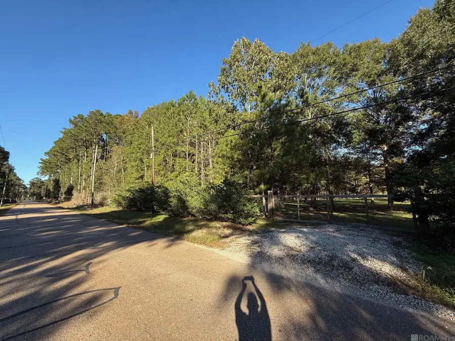 26430 Clyde Blount Rd, Livingston, LA 70754 - #2